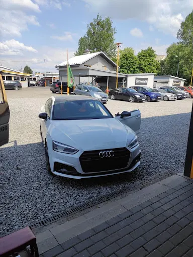 Autoelektronika Piotr Rychlik Elektryk samochodowy Jastrzębie Zdrój